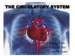 THE CIRCULATORY SYSTEM - slide 1