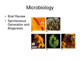 Microbiology