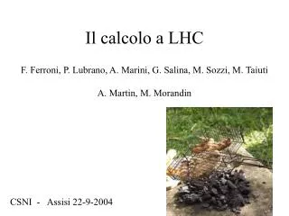 il calcolo a lhc