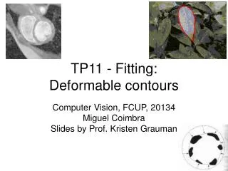 TP11 - Fitting: Deformable contours