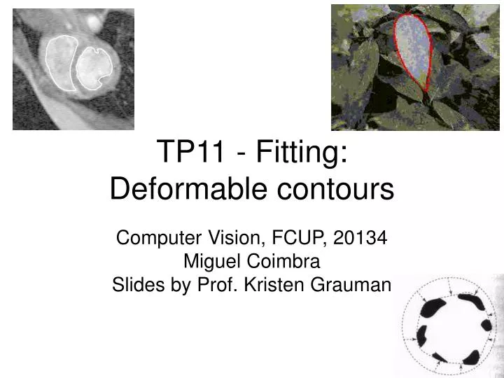 tp11 fitting deformable contours