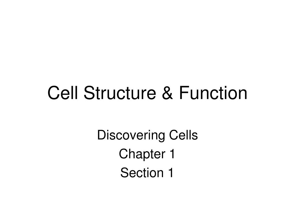 PPT - Cell Structure & Function PowerPoint Presentation, free download ...