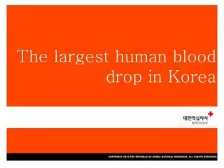 The largest human blood drop in Korea