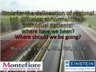 Michael L Lipton, MD, PhD, FACR