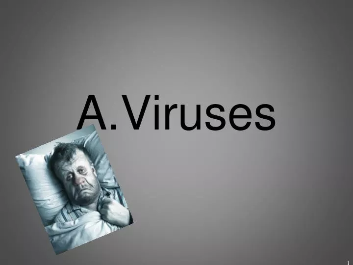 a viruses