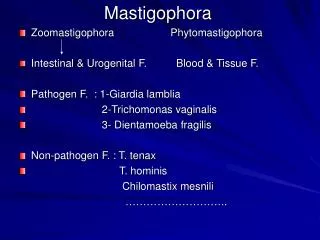 Mastigophora