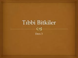 t bbi bitkiler