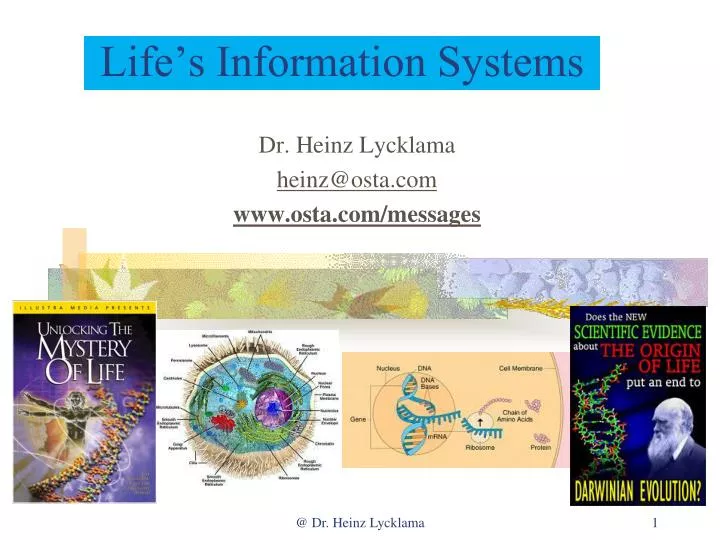 life s information systems