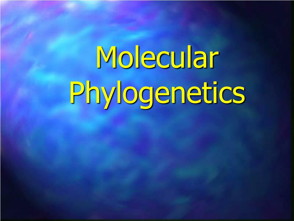 PPT - Molecular Phylogenetics PowerPoint Presentation, free download ...