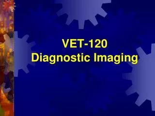 VET-120 Diagnostic Imaging