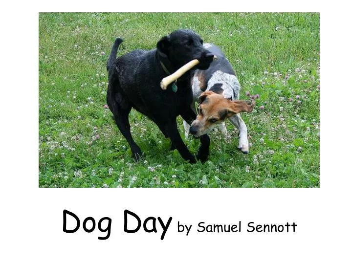 dog day by samuel sennott