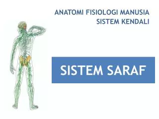 sistem saraf