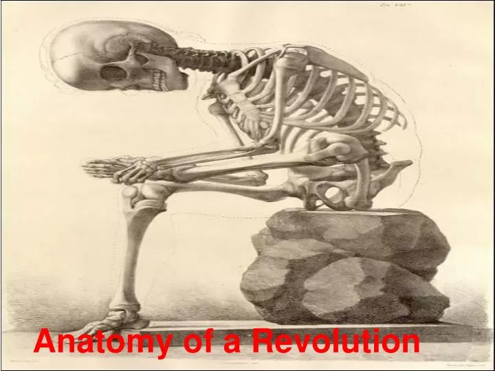 anatomy of a revolution
