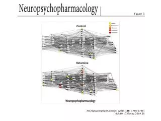 Neuropsychopharmacology (2014) 39 , 1786-1798; doi:10.1038/npp.2014.26