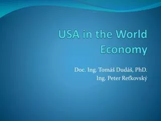 USA in the World Economy