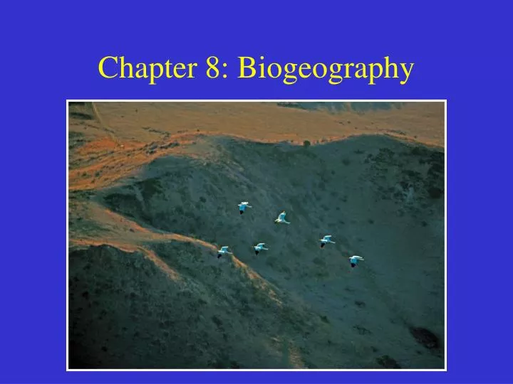 chapter 8 biogeography