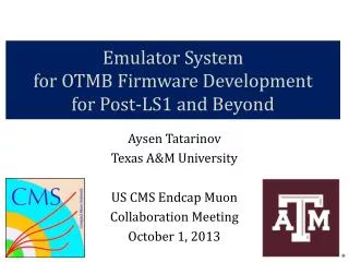 Emulator System for OTMB Firmware Development for Post-LS1 and Beyond