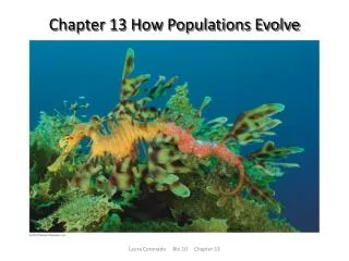 Chapter 13 How Populations Evolve