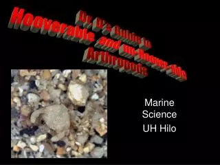 Marine Science UH Hilo