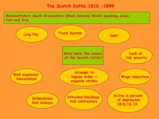 The Scotch Cattle 1816 -1849