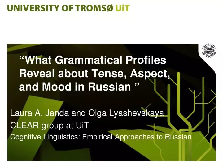 what grammatical profiles reveal about tense aspect and mood in russian