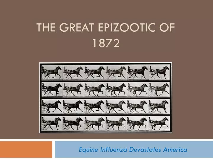 the great epizootic of 1872