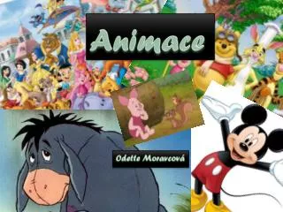 animace