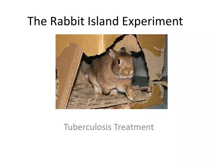 the rabbit island experiment