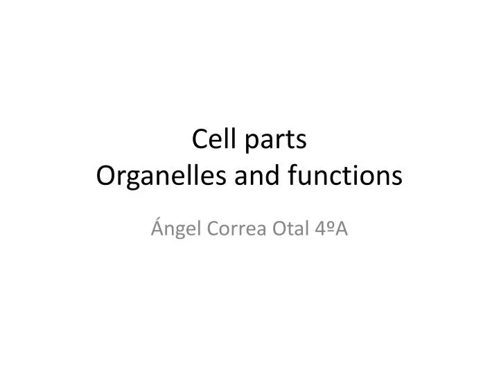 cell parts organelles and functions