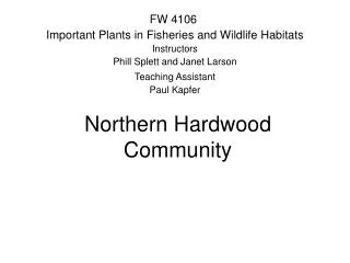 Northern Hardwood Community