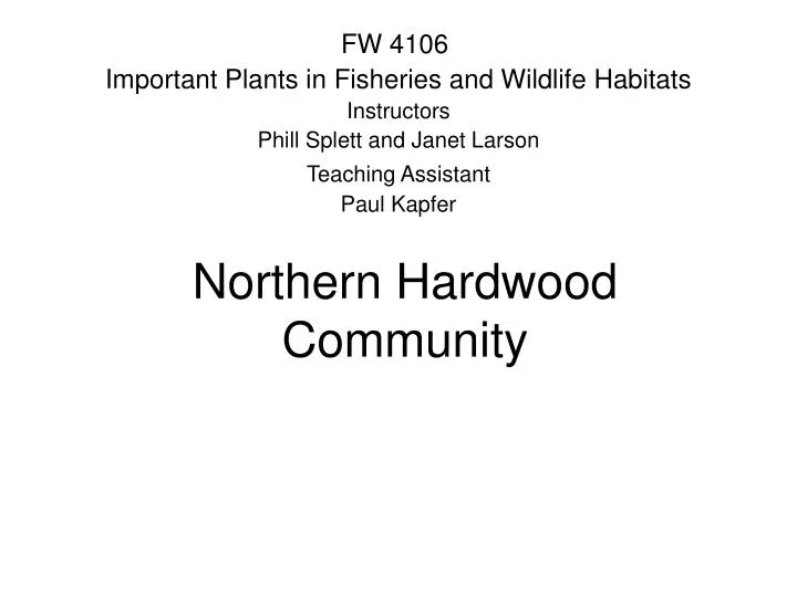northern hardwood community