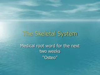 The Skeletal System