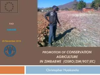 Promotion of conservation agriculture in Zimbabwe ( OSRO /ZIM/907/ ec )