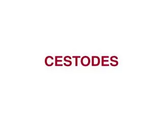 cestodes