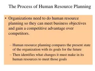 The Process of Human Resource Planning