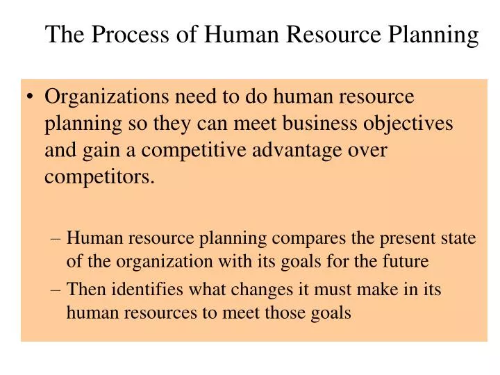 the process of human resource planning