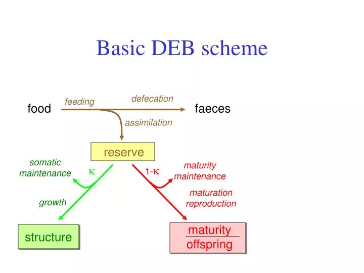 basic deb scheme