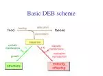 Understanding the Dynamics of Feeding, Assimilation, and Reserve Maintenance in Organisms - slide 1