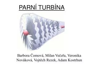 parn turb na