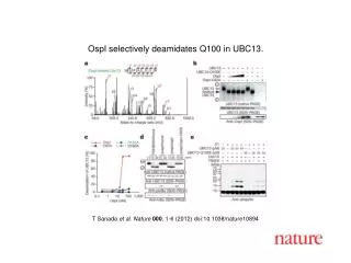 T Sanada et al . Nature 000 , 1 - 6 (2012) doi:10.1038/nature10894