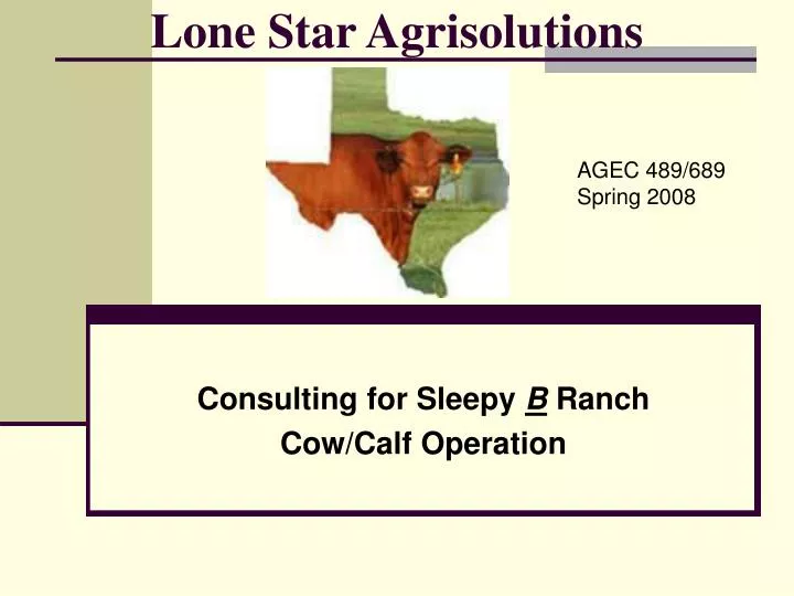 lone star agrisolutions