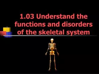 1.03 Understand the functions and disorders of the skeletal system