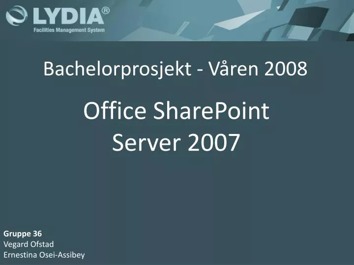 bachelorprosjekt v ren 2008