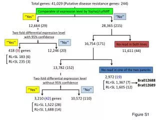 Total genes: 41,029 (Putative disease resistance genes: 244)