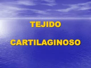 tejido cartilaginoso