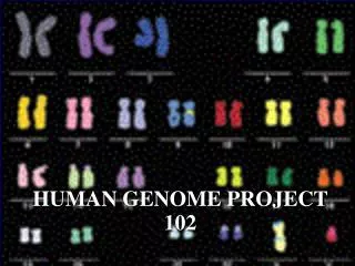 HUMAN GENOME PROJECT 102