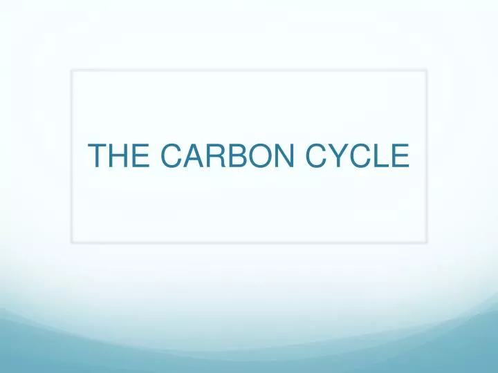 the carbon cycle