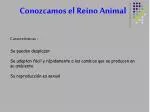 Conozcamos el Reino Animal - slide 1