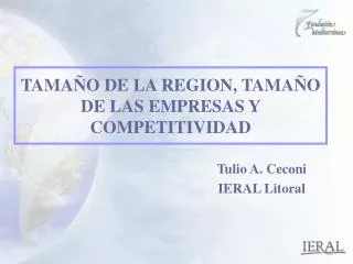 tama o de la region tama o de las empresas y competitividad