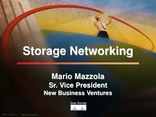 Storage Networking